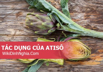 5 tác dụng của Atiso đối với sức khỏe, cách chế biến và pha trà atiso để uống thanh lọc cơ thể